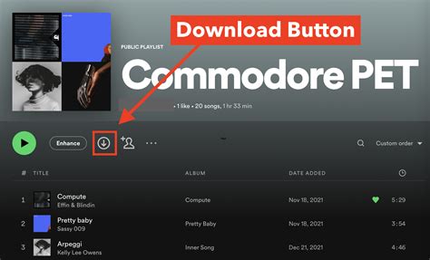 Can You Download Music from Spotify to Your Computer: A Detailed Discussion